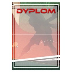 Dyplom Papierowy - DYP102