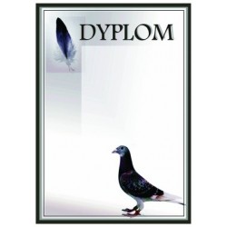 Dyplom Papierowy - DYP48