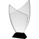 Trofeum szklane z etui C042