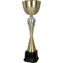 Złoto - Srebrny  Puchar  "Trigap" - 3113