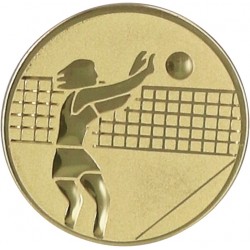 Emblemat samoprzylepny złoty - siatkówka - D1-A7