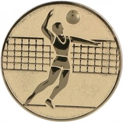 Emblemat samoprzylepny złoty - siatkówka - D1-A6/G