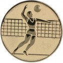 Emblemat samoprzylepny złoty - siatkówka - D2-A6/G
