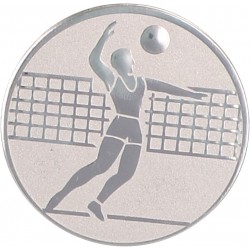 Emblemat samoprzylepny srebrny - siatkówka - D1-A6/S