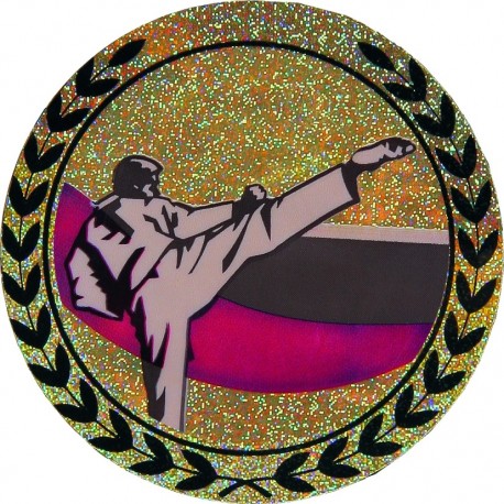 Emblemat hologramowy - karate - AGM111