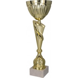 Złoty  Puchar  "Cup 2" - 4142