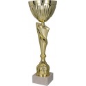 Złoty  Puchar  "Cup 2" - 4142