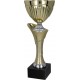 Złoto - Srebrny Puchar "Chrome Cup" 4145