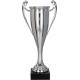 Srebrny Puchar "Mini Champion" 7096
