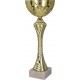 Puchar "Goldful" - 8241