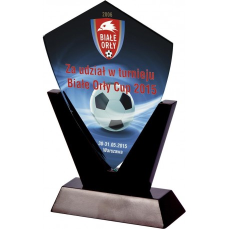 Trofeum szklane z etui GW200-22